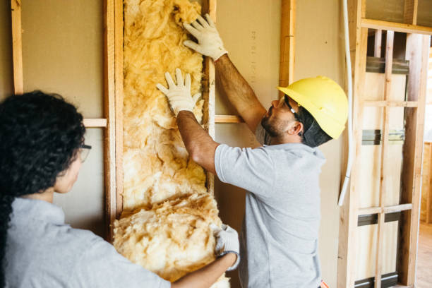 Best Radiant Barrier Insulation  in Allen, TX